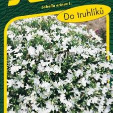 Image result for foto Lobelka