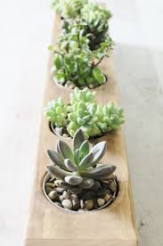 Modern Succulent Centerpiece Planter City Farmhouse Succulent Centerpiece Dining Room Succulent Centerpieces Patio Table Centerpiece