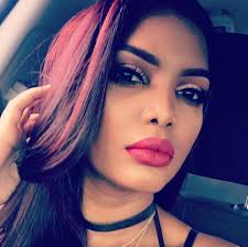 Bag for Ninja SLUSHi Professional Frozen Drink Maker at Costco