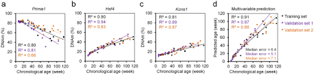 Richard feynman‏ @proffeynman 17 июл. Targeted Methods For Epigenetic Age Predictions In Mice Scientific Reports