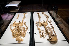 Трэвис фиммел, кэтрин винник, клайв станден и др. Two Viking Relatives Reunited In Denmark After 1 000 Years Science Tech The Jakarta Post