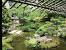 Japanese Tea Garden San Francisco Map