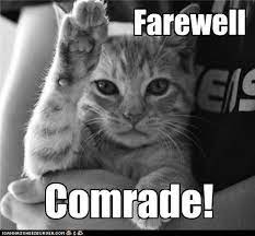 Find and save farewell memes | another word for goodbye that derives from the vikings, from the norwegian words: Farewell Comrade Funny Cat Memes Cute Cats Silly Cats