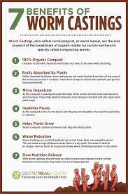 How To Make A Worm Bin Grow Real Food Organic Non Gmo Food In Your Backyard Vermicomposting Worm Composting Compost