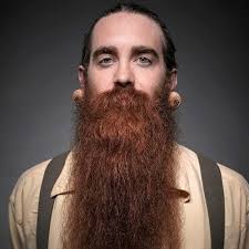 The viking beard is a masculine & trendy style for the modern man. 50 Manly Viking Beard Styles To Wear Nowadays Men Hairstyles World