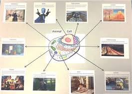 Cell organelle analogies, cell analogy using christianity download scientific diagram, cell analogy kingdom by ian jacosb infographic, cell analogy project animal cell to music, cell analogy rubric by teacher tidbits1 teachers pay teachers. Https Bondy Pasadenaisd Org Userfiles Servers Server 58507 File Pre 20ap Newfolder Bondy 20pap 207th 20grade 20summer 20project 20dq16 20 1 Pdf
