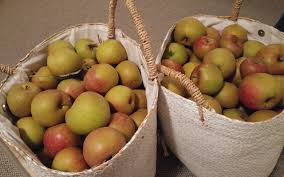 Obst aus der region … Regionales Obst Und Gemuse Kaufen Radio Berg