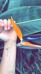 Tattoo Bird Of Paradise In 2020 Bird Of Paradise Tattoo Paradise Tattoo Small Tattoos