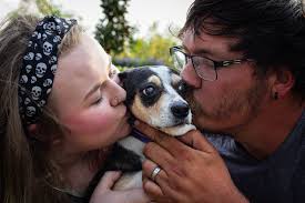 I sadly had my 18 yr Daisy PTS 2 weeks ago today... I miss her soo much!  Her Dementia has got alot these last few months with sundowners and normal  dementia... She