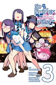 Kumo Desu Ga, Nani Ka – 24 (End) - Random Curiosity