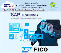 Join Talent Magnifier Learn Sap Fico Training Course Or Get Advanced Knowledge Corporate Training Accounting Training Training Courses