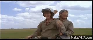 Movie memes funny movies good movies dumb quotes tv quotes dumb and dumber quotes quotable quotes native humor best movie lines. Lloyd And Harry Reach Aspen On Scooter In Dumb And Dumber On Make A Gif