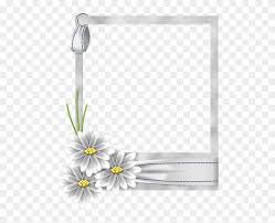 Entdecken sie die neue frame kollektion bei stylebop. White Flower Frame Transparent Png White Flower Frame Png Png Download 528x600 311824 Pngfind