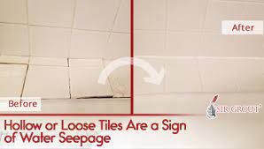 Maybe you would like to learn more about one of these? Water Damage Behind Shower Tiles
