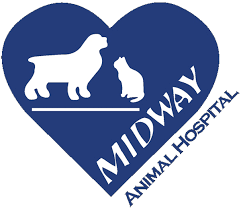 We did not find results for: Veterinarian In Largo Fl Vet Care Contact Our Animal Hospital