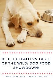 Taste Of The Wild Vs Blue Buffalo Which Food Is Best In 2020 Blue Buffalo Dog Food Blue Buffalo Dog Food Brands