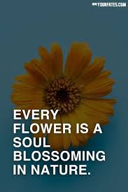 And if y'all have any more fine southern sayings, well, bless yer pea pickin' hearts, just let 'er rip, tater chip, and jot them down in the comments section below. 110 Beautiful Flower Quotes To Make Your Life Bloom 2021