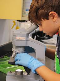 Developing a Lifelong Love of Learning