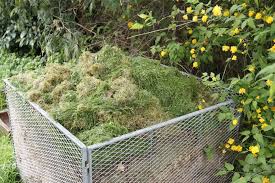 Vom Rasenschnitt Zum Perfekten Kompost Garten Pflanzen Kompost Kompostieren