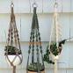 Learn Macrame event image