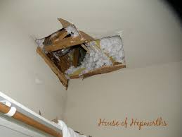 Exit holes are small holes in wood, drywall, sheetrock and any structure that contains cellulose which termites feed on. Knowing How To Repair Large Sections Of Drywall Is A Good Skill To Have House Of Hepworths