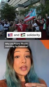 AJ+ spoke to Professor Marisol LeBrón about the historic parallels between  the Puerto Rican and Palestinian struggle.