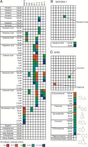 Proof testing for design basis laminates design and fabrication validation quality control program. Rtp Family Members Induce Functional Expression Of Mammalian Odorant Receptors Sciencedirect
