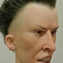 Robert Soles (frogpig)