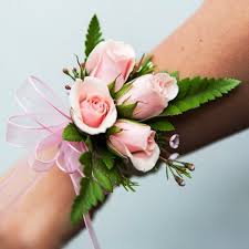 images?q=tbn%3AANd9GcSmAj_4OqZLHj7xhm_Pc