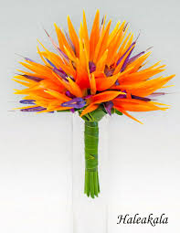 Bird Of Paradise Bouquet Wedding Making Birds Of Paradise Bouquets Are So Difficult Wish Mine Turned Out Like Thi Tropical Wedding Bouquets Flower Bouquet Wedding Tropical Wedding Flowers