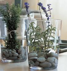 Decor Ideas With Sea Stones Plant Decor Simple Table Decorations Little Gardens