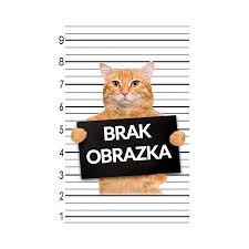 Zobacz inne fantastyka i fantasy, najtańsze i najlepsze oferty. Cien I Kosc Wydanie Filmowe Leigh Bardugo Ksiazka W Ksiegarni Taniaksiazka Pl