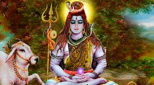 Image result for भगवान शिवजी के फोटो