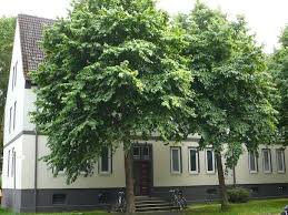 66 häuser zur miete in wilhelmshaven ab 180 € / monat. Wohnungen Mieten Wilhelmshaven Hauser Immobilien Kaufen Mieten