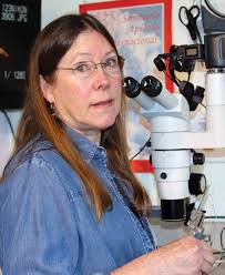 BIP Bits Propolis ABRC Proceedings