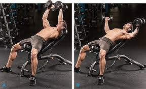 It lies under the breast. Pectoral Focus 3 Top Exercises To Take Your Chest Life Janicemrangel People Crabgrass