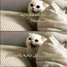 ضحك حتى البكاء ضحك جزائري ضحك حتى البول ضحك معنى ضحك اطفال فوائد الضحك ضحك meaning الضحك في المنام نكت قصيرة fun quotes funny funny arabic quotes funny phrases