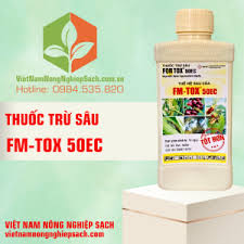 NBChestop 50WG