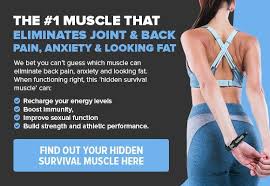 Pin On Si Joint Exercises
