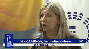 LEY DE PROTECCIÓN INTEGRAL DE LA NIÑEZ, LA ADOLESCENCIA Y LA FAMILIA: NUEVA  REUNIÓN DE LA COMISIÓN DE SEGUIMIENTO Con las presencias de diputados  provinciales, de la defensora de Niños, Niñas y