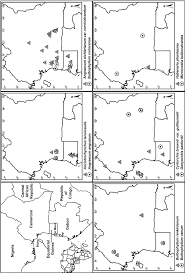 Image result for Ancistrorhynchus tenuicaulis