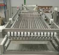 Canned Sardine Process and Machinery | Gaictech