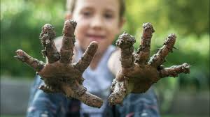 How do birds poop? l Avian Adventures, Season 2, Episode 5