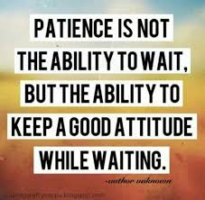 Quotes About I Have No Patience 34 Quotes