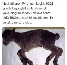Aslanova Adli Kullanicinin Bilgi Panosundaki Pin 2020 Resimli Alintilar Kitap Alintilari Bilgi