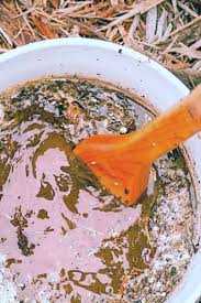 We did not find results for: How To Make And Use Compost Tea The Perfect All Natural Fertilizer