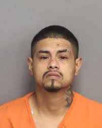 Arrest Report for August 25