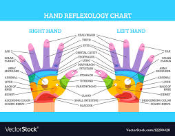 hand reflexology chart