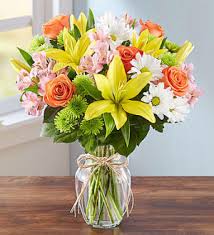 Lush celebrations at field of flowers flowers fort lauderdale. Florist24hrs Com Sunrise Fl Shop Locally Same Day Delivery After Hours Delivery