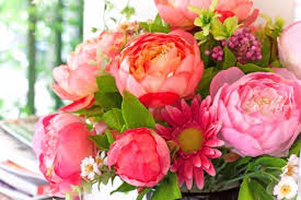 Or if someone is helping you while recovering, they can make a list. Tips For Buying A Get Well Soon Gift The Joy Of Five